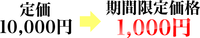 期間限定価格